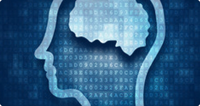 Knowledge Base
