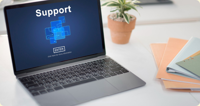 Salesforce Optimization and Support