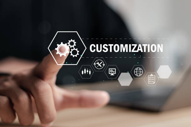 Dynamics Customization